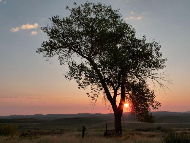 sunset-in-countryside