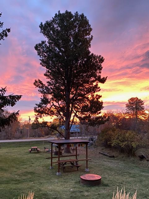 story-pines-inn-yard-at-sunset