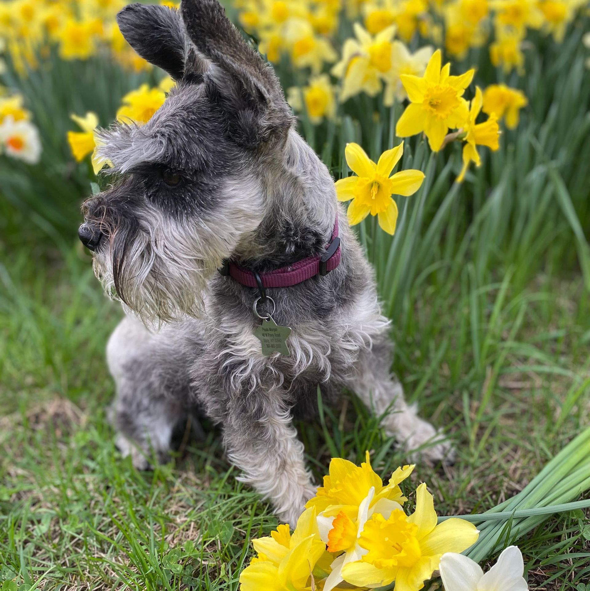 man-fishing-in-river