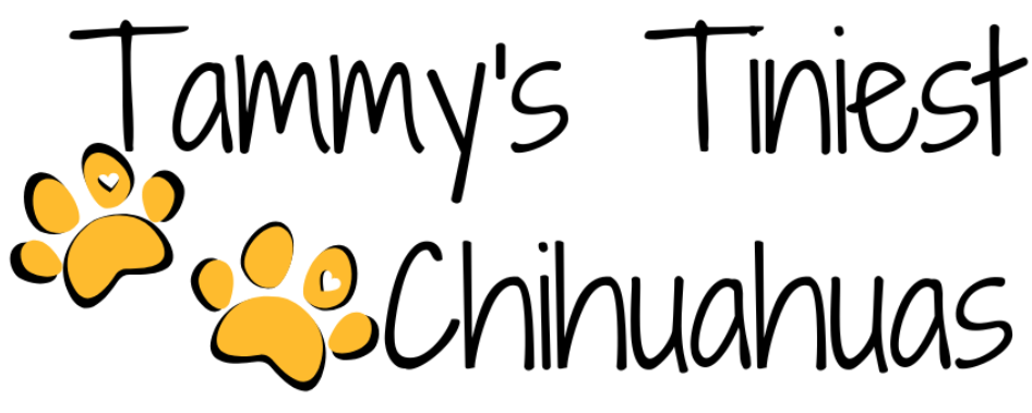 Tammy's Tiny Tots Chihuahuas Logo