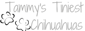 Tammy's Tiny Tots Chihuahuas logo