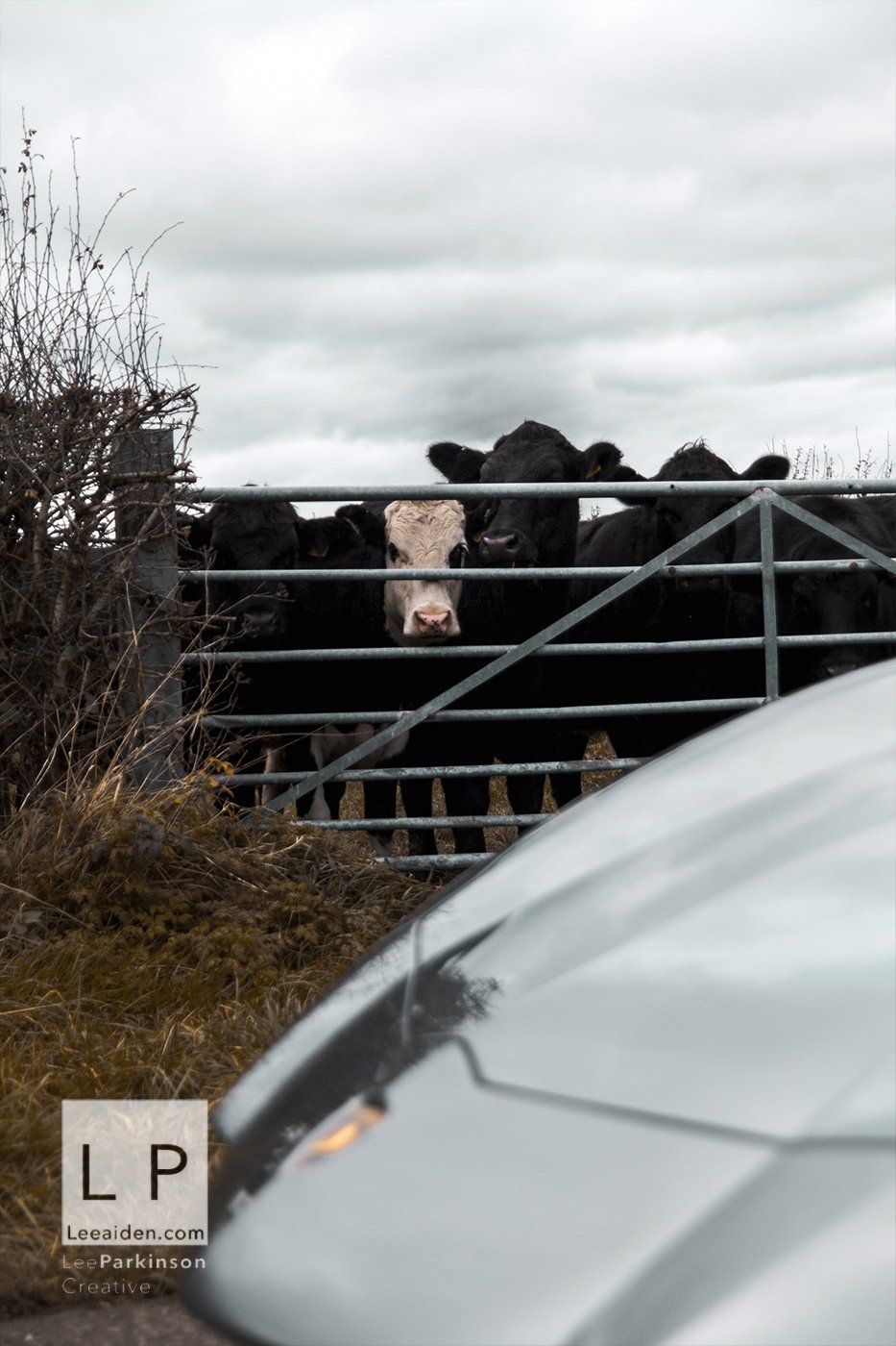 Lamborghini Aventador S, in the Ribble Valley by Clitheroe, Lancashire Photographer Lee Parkinson
