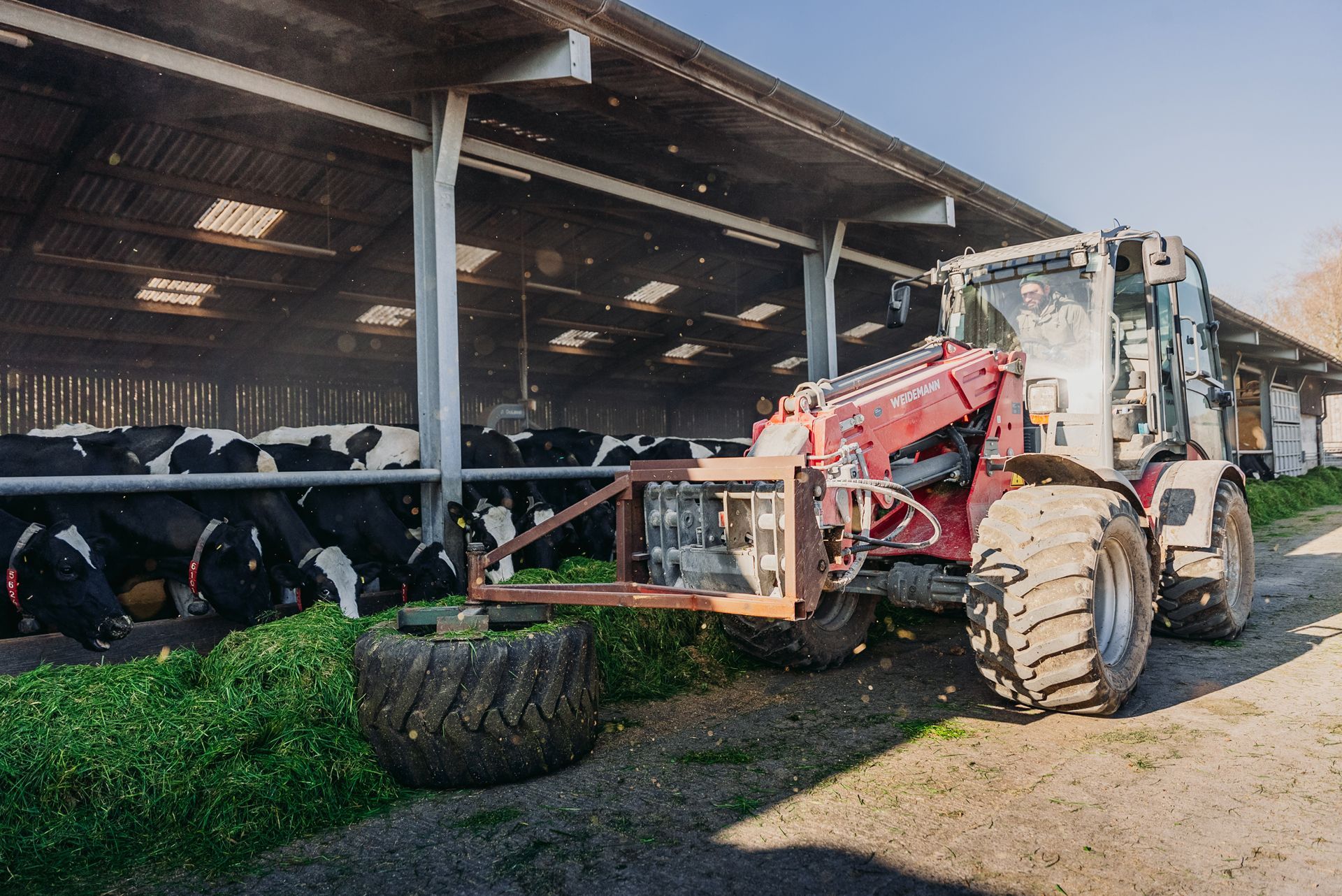 Agriculture Agri Farming Animal Photographer Videographer Drone