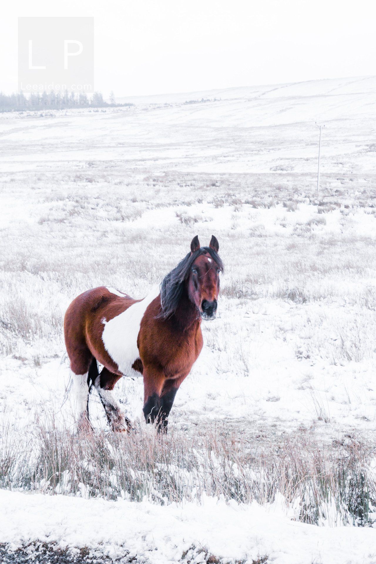 Lancashire Photographer, Clitheroe Photographer, Lake District, Snow
