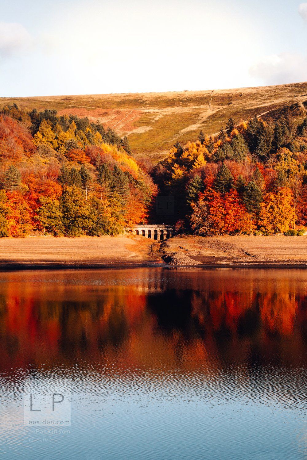 Clitheroe based, Lancashire Photographer, Lake District, Horse