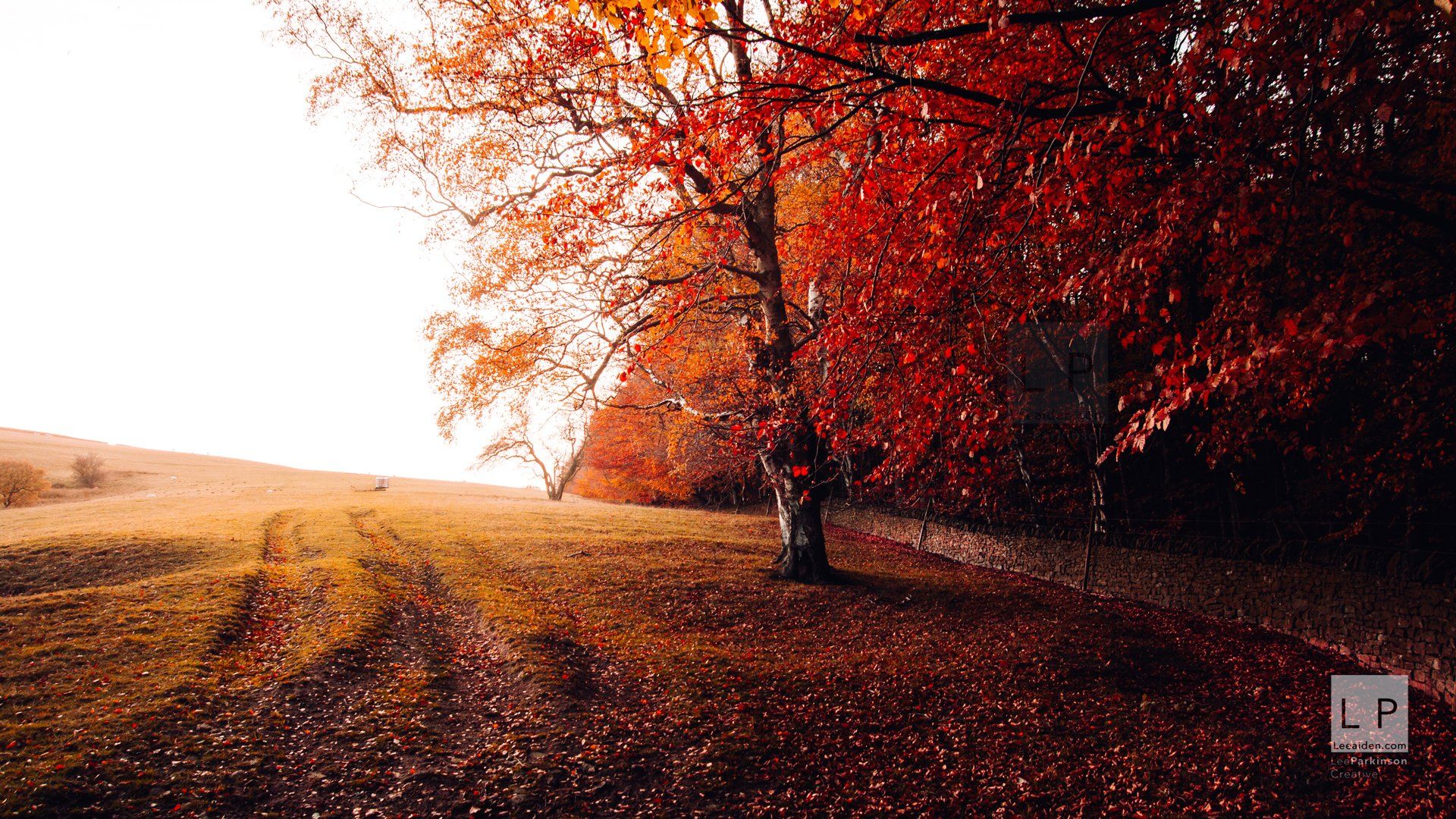 Clitheroe based, Lancashire Photographer, Wedding Photographer