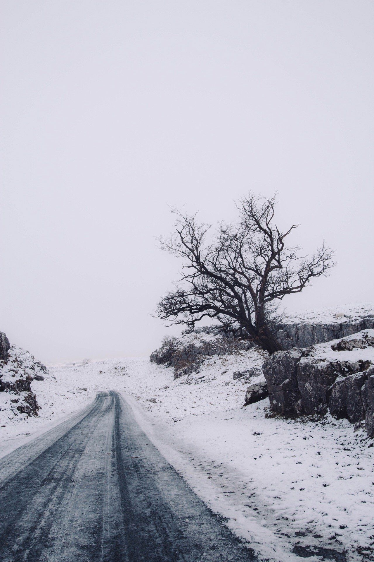 Clitheroe based, Lancashire Photographer, Wedding Photographer