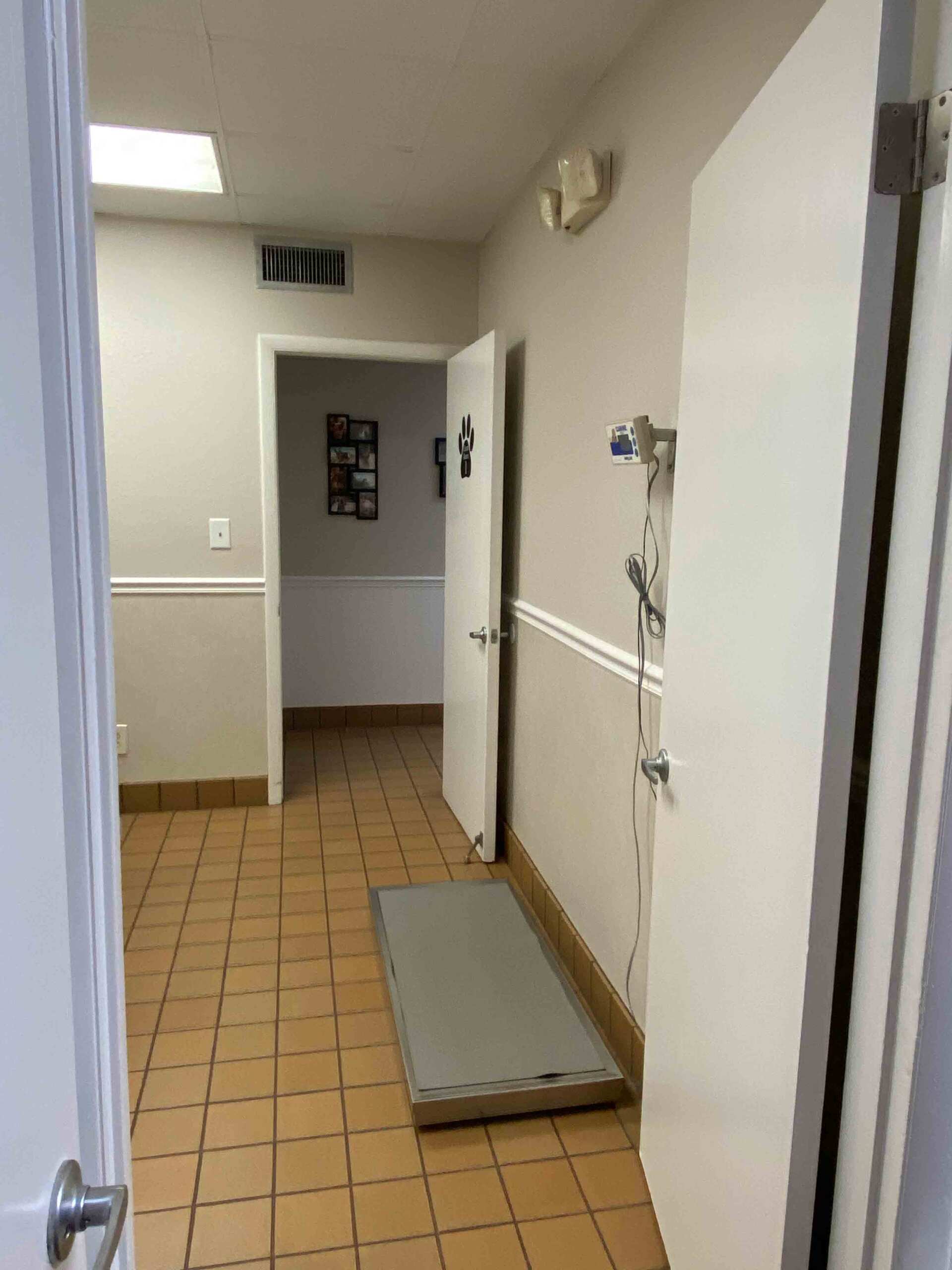 Orlando Climate Controlled Pet Boarding Dog ACL Surgeons