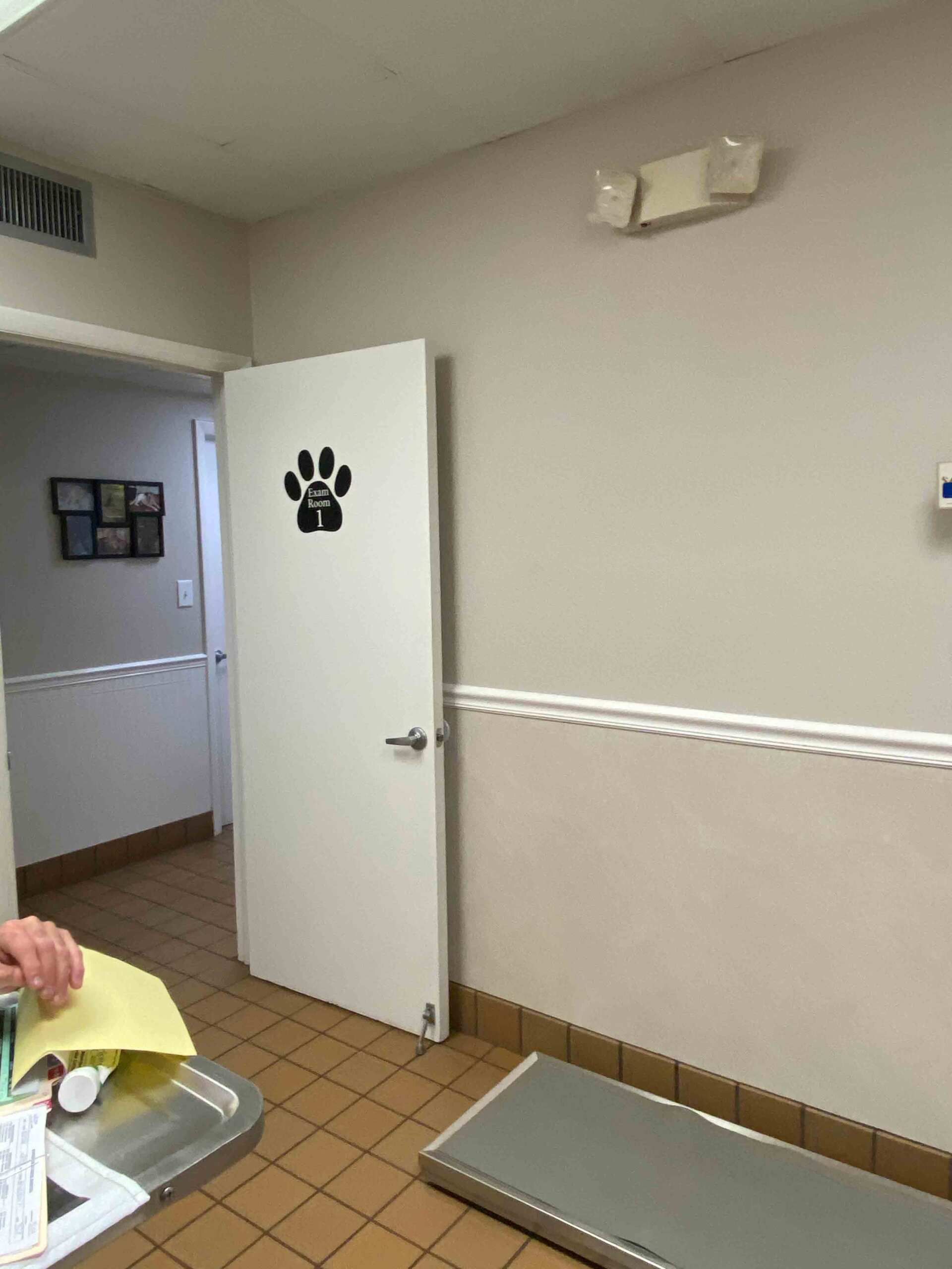 Orlando Dog, Cat Veterinarians Pet Emergency Care Orlando 32818