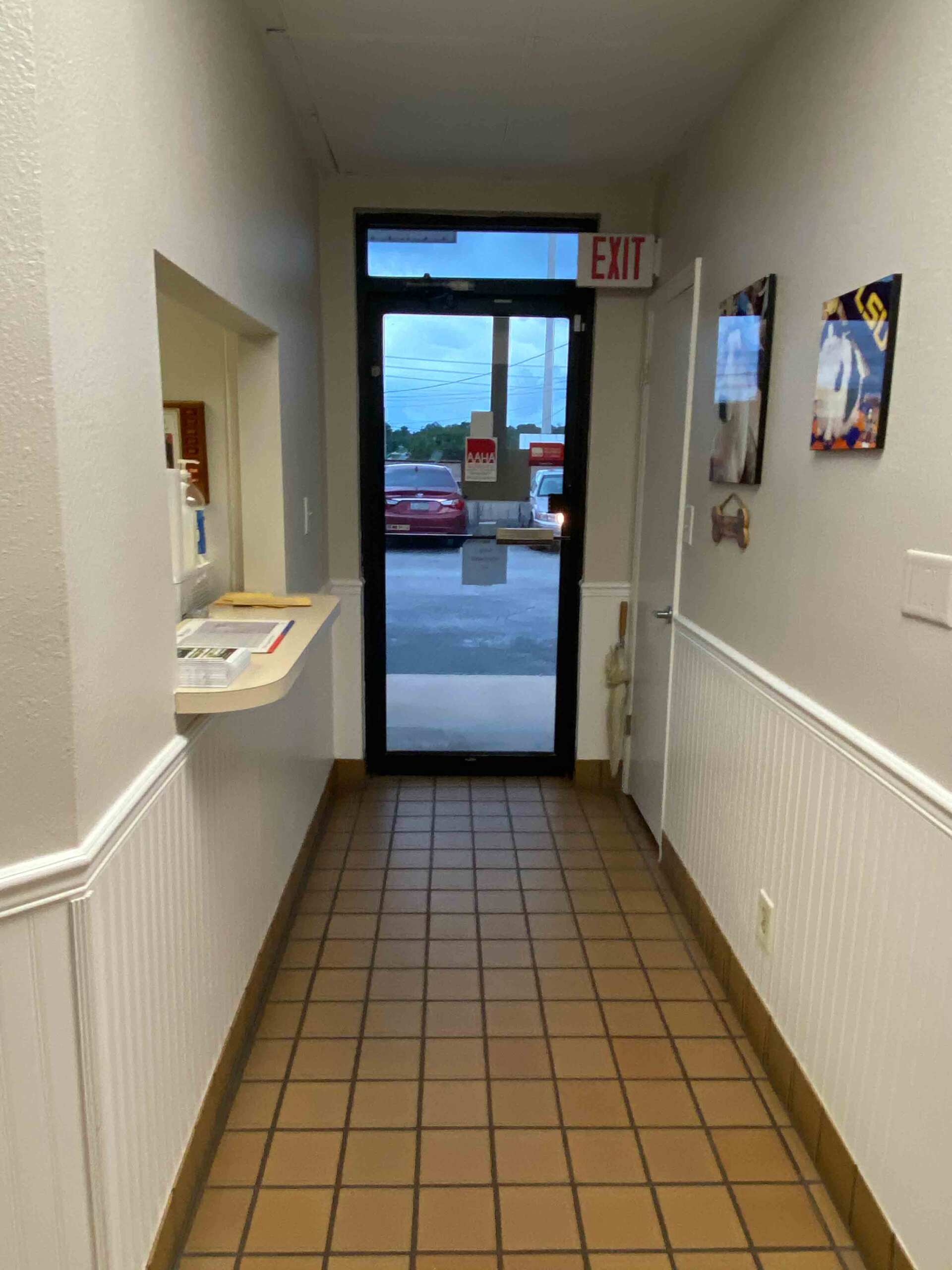 Orlando Dog, Cat Veterinarians Pet Emergency Care Orlando 32818