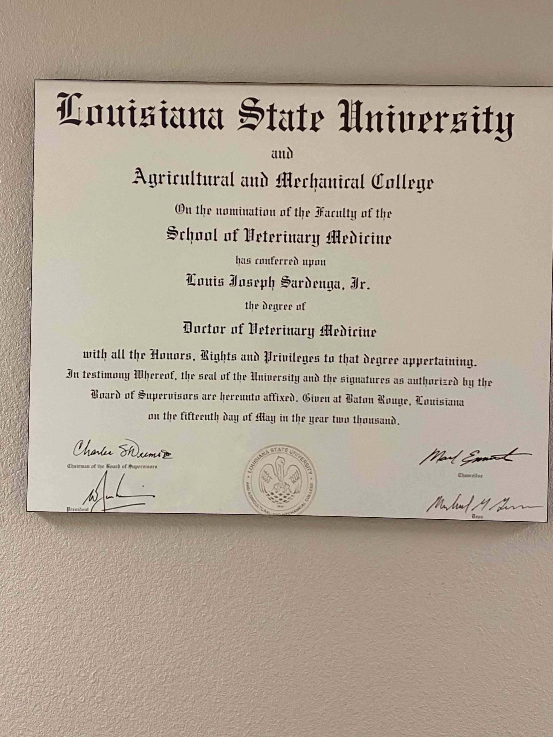 Orlando Climate Controlled Pet Boarding Dog ACL Surgeons