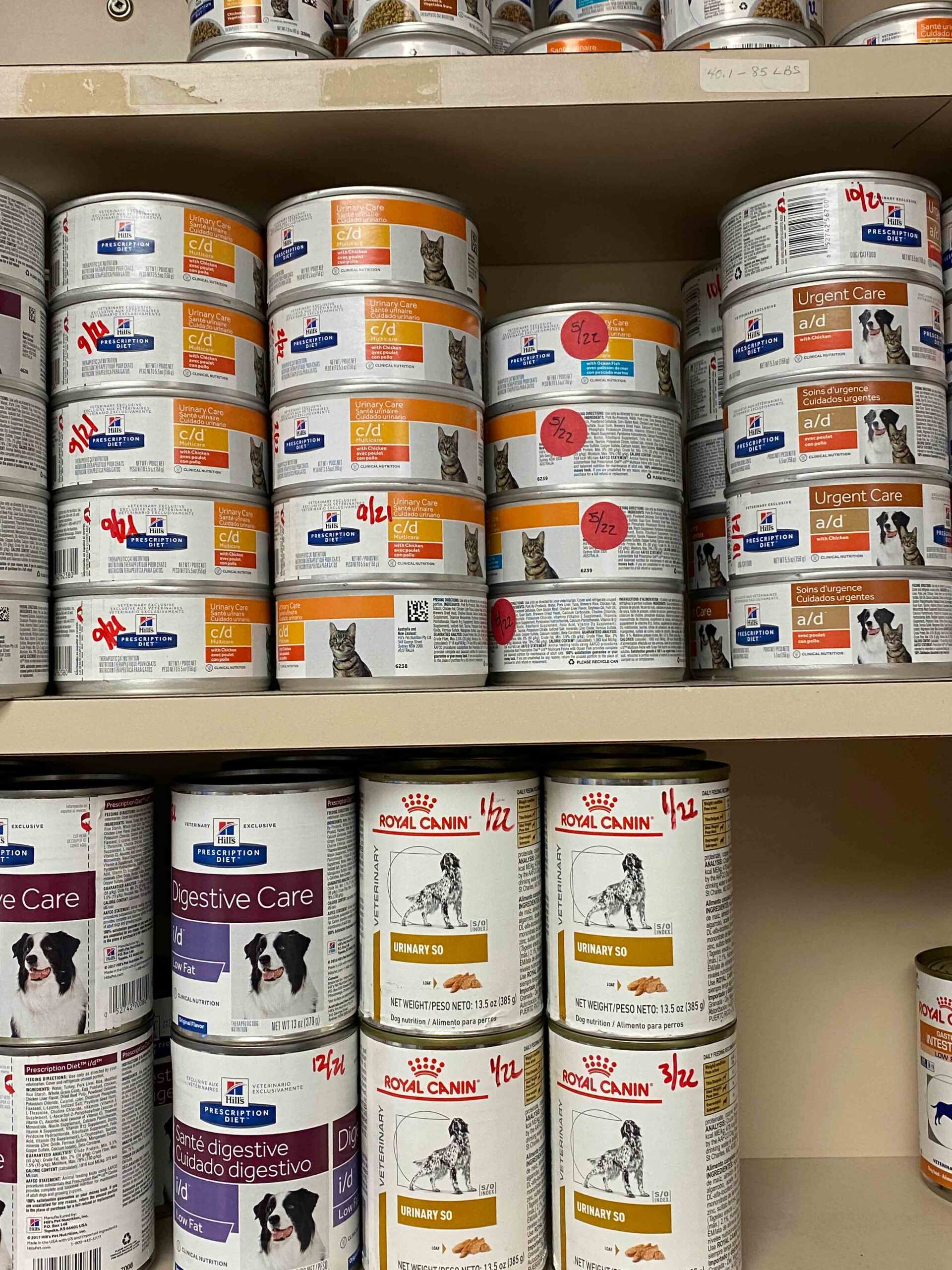 Orlando Dog, Cat Veterinarians Pet Emergency Care Orlando 32818