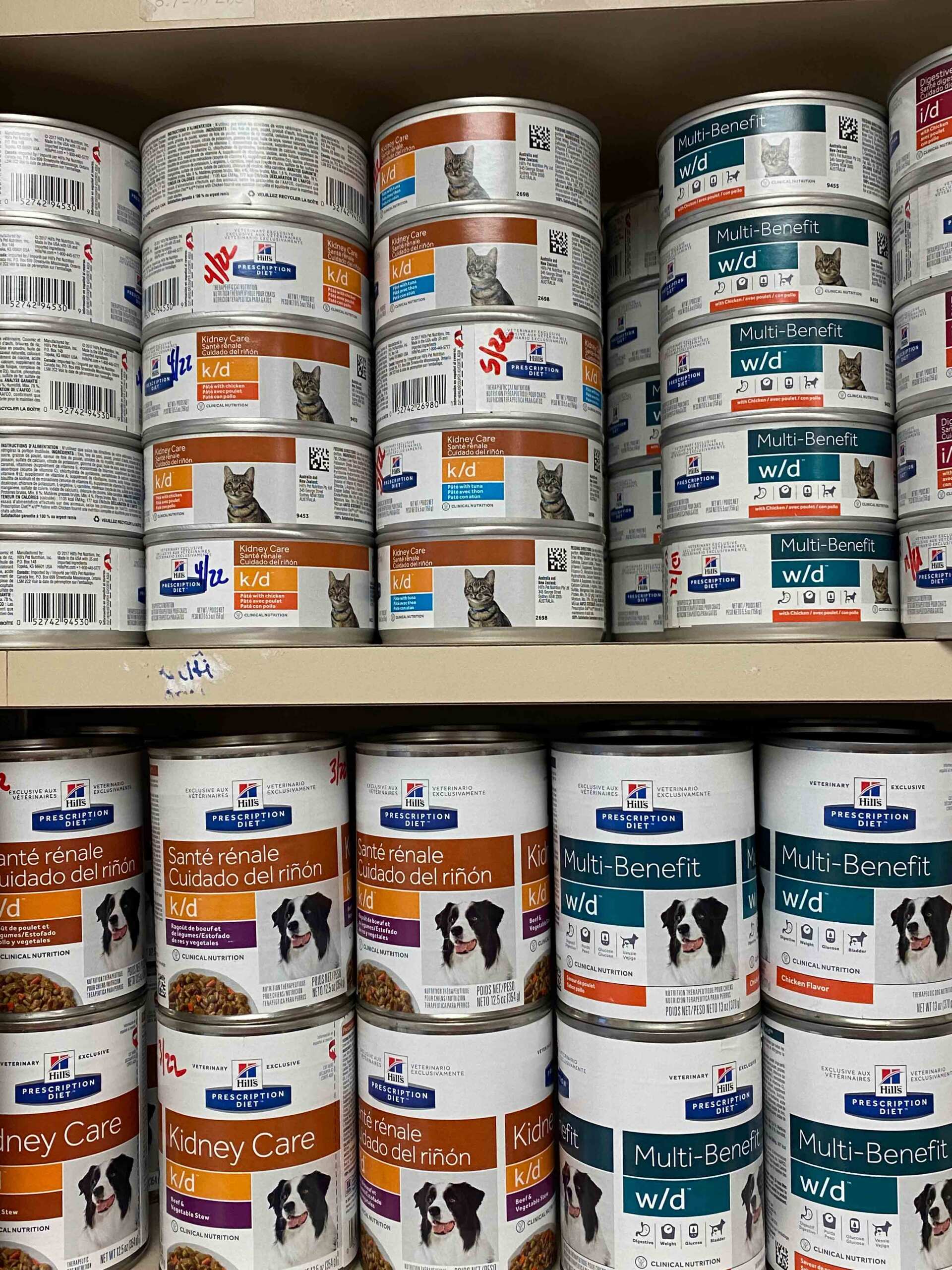 Orlando Climate Controlled Pet Boarding Dog ACL Surgeons