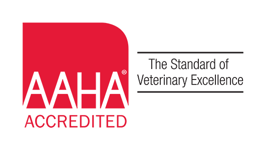 AAHA Accredited Veterinarian Office — Orlando, FL — Powers Drive Animal Hospital