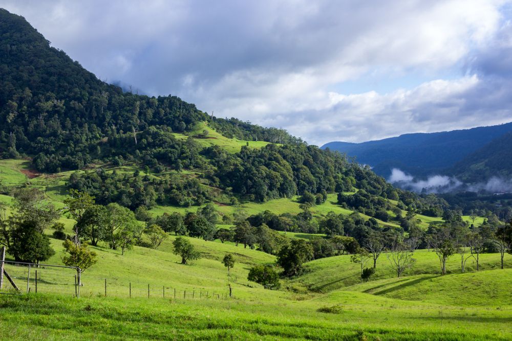 A lush green valley with mountains in the background and a fence in the foreground. — All Tree and Stump Works in Nerang, QLD