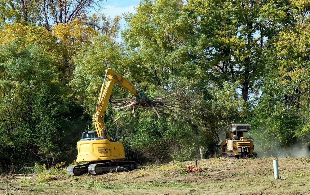 Excavator And Forestry Mulcher Clearing Land — All Tree and Stump Works in Southport, QLD