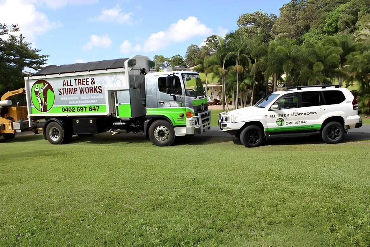 Two Company Vehicles Parked on the Grass — All Tree and Stump Works in Cobaki, NSW
