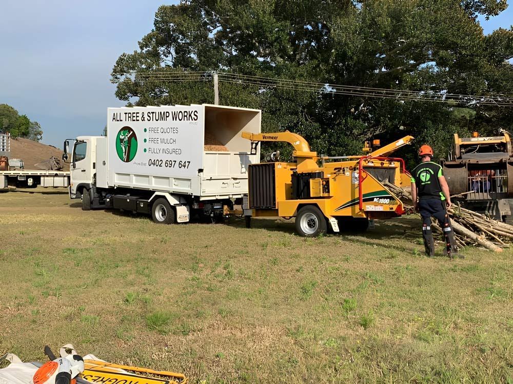 Wood Chipper Filling the Back of a Truck — All Tree and Stump Works in Cobaki, NSW