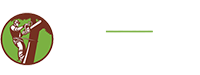 All Tree & Stump Works: Professional Tree Services on the Gold Coast 