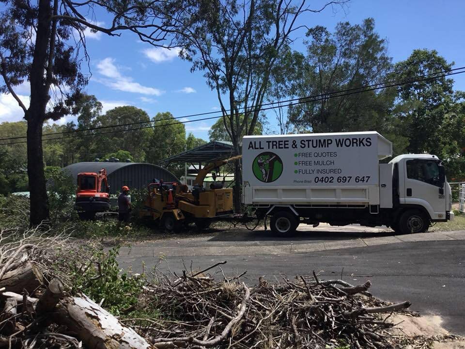 Arborists Inspecting Trees in Site