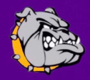 Bulldog head with gray features, spiky collar, yellow circle, and purple background.