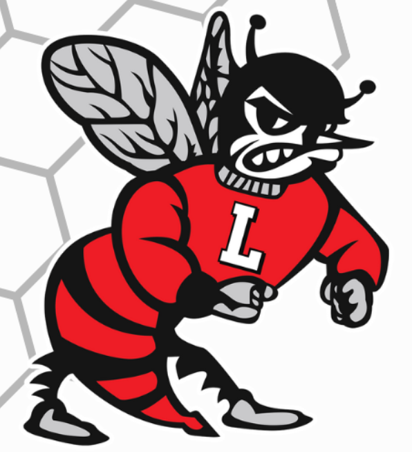 Red and black angry bee mascot with 