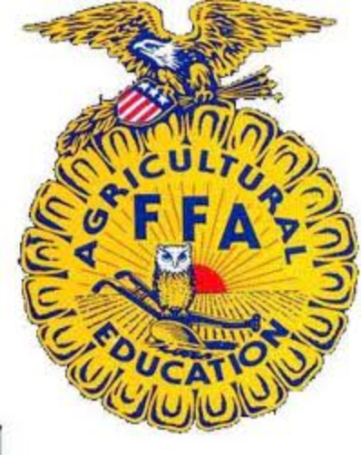 FFA emblem: Eagle atop sunburst with 