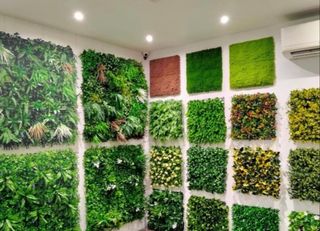 A room filled with lots of different types of green plants.