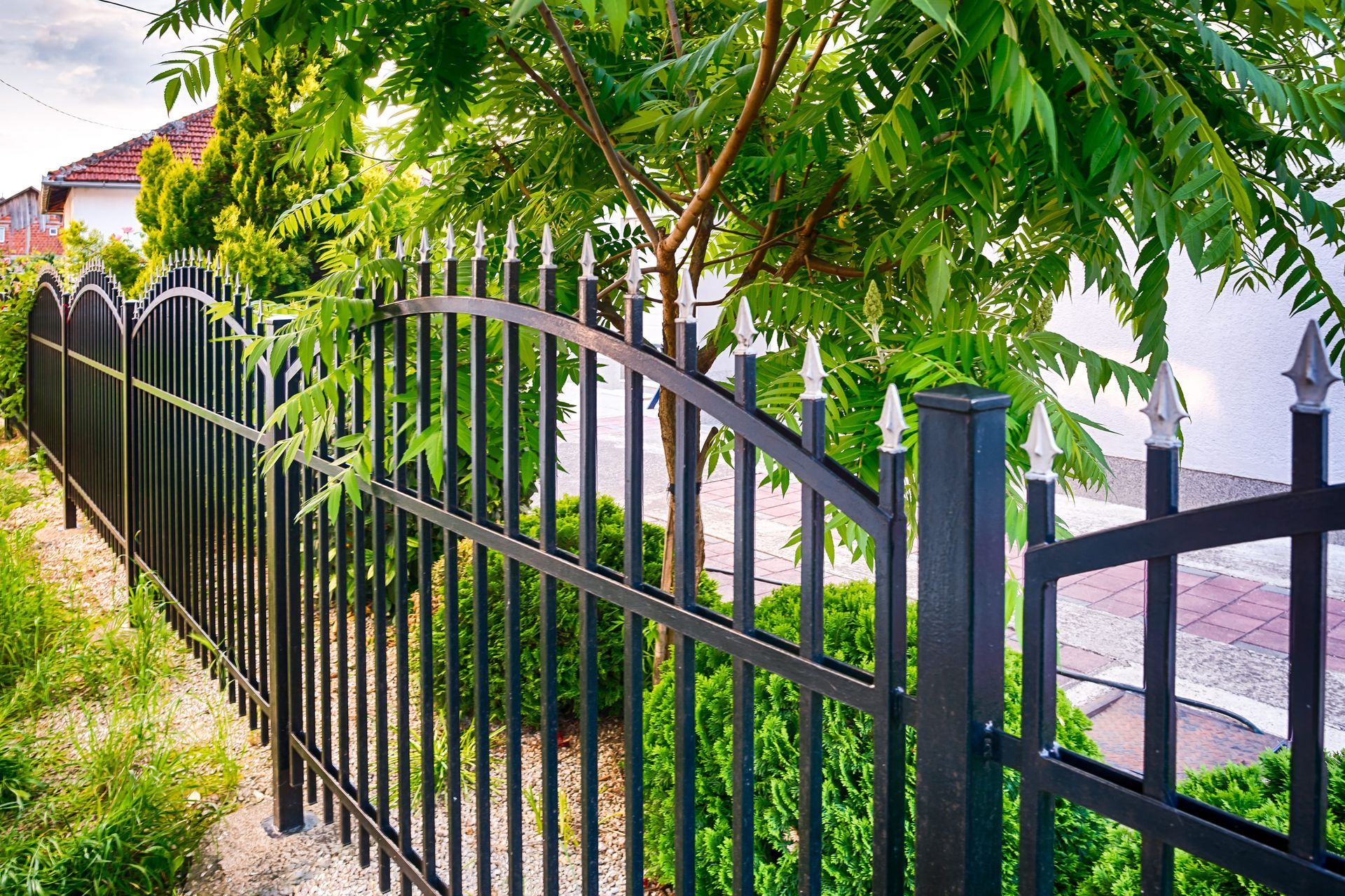 A black metal iron fencing in Cedar Rapids, IA is showcased, with a tree positioned in the backgroun