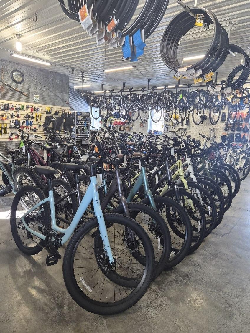 Rows of bicycles parked in a retail shop, with various bike tires hanging from the ceiling.