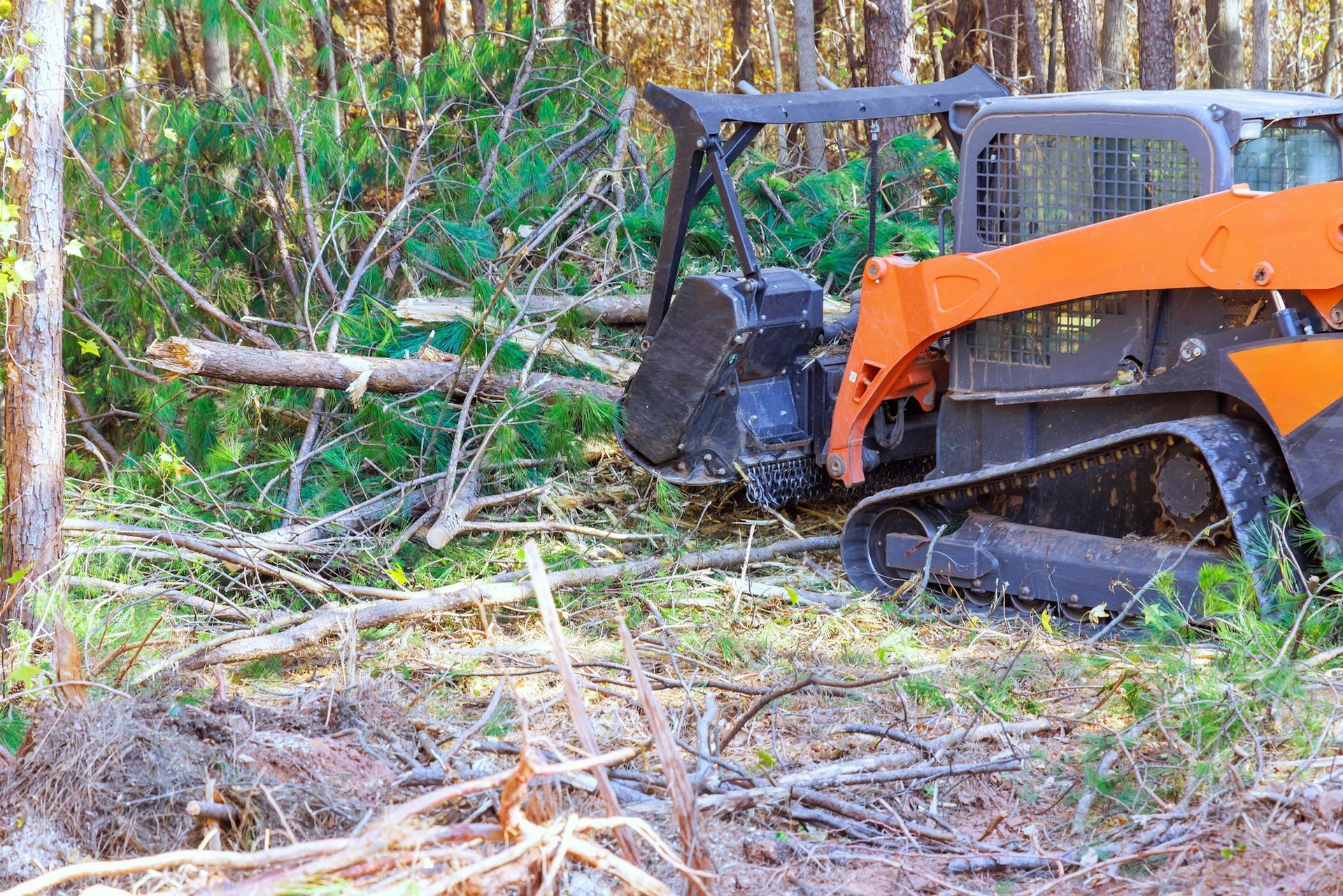 An orange skid steer with a forestry mulcher cutting down trees in a wooded area.