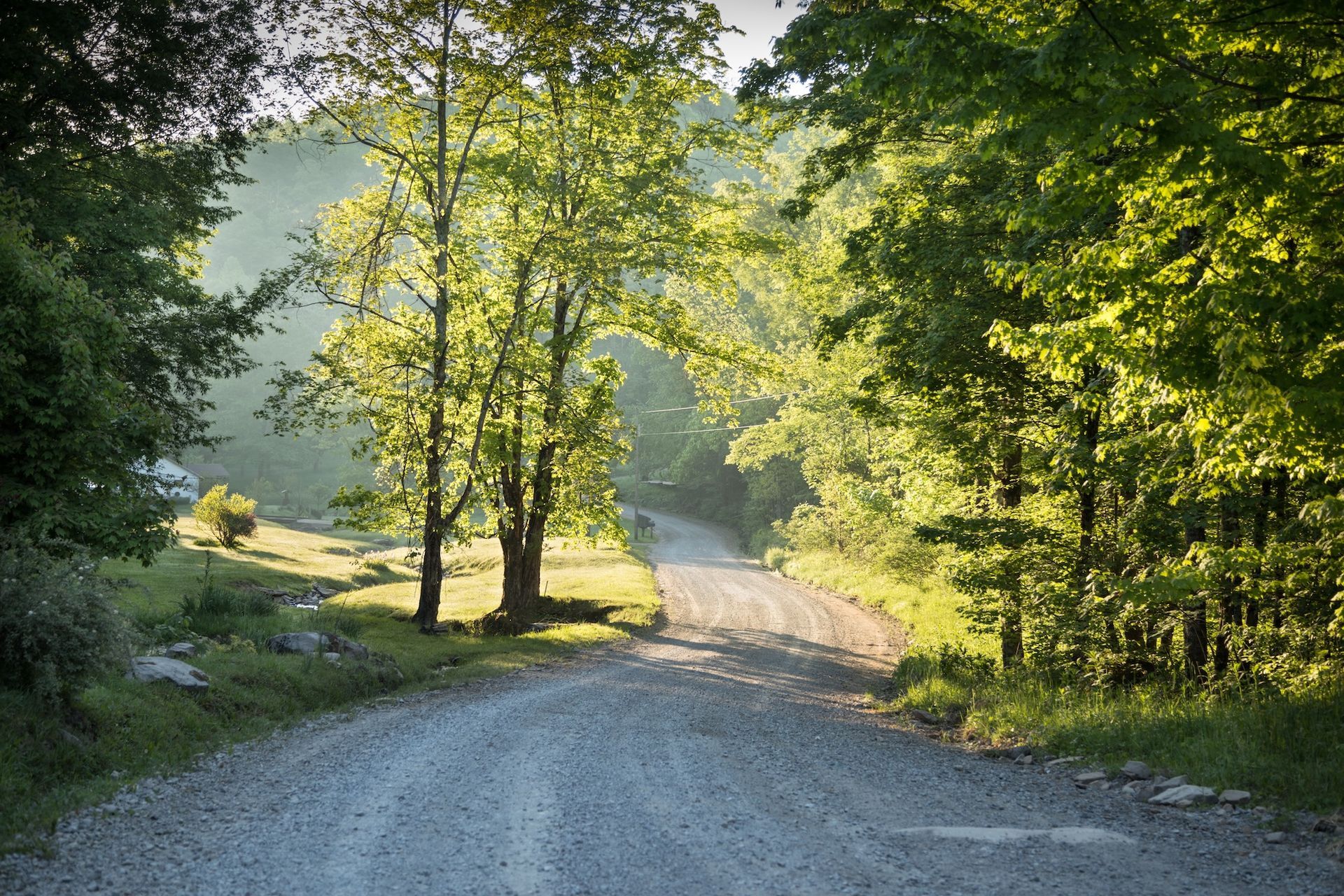 Gravel road through sunlit forest, trees lining both sides. Sunlight filters through the leaves.