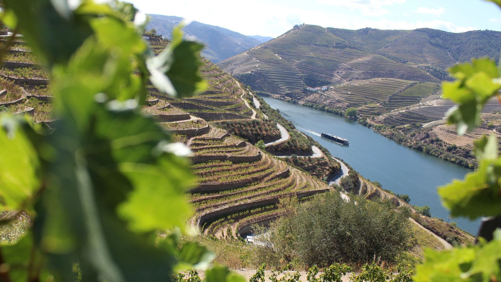 Douro Vineyards - Quinta Balagué is situated in the heart of the Douro region.