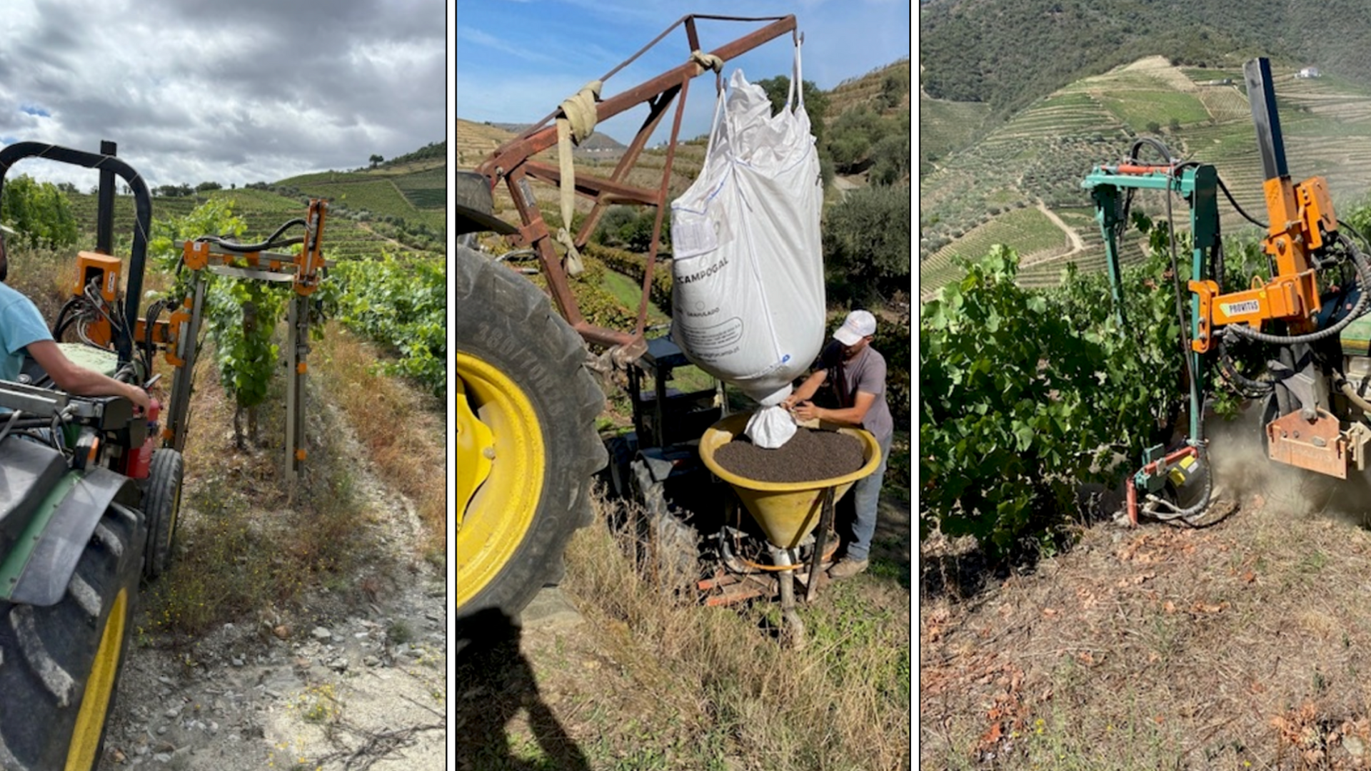 Balagué Vineyard, a pioneer in sustainable winemaking, showcases eco-friendly practices in its vineyard and plantation, reflecting a deep commitment to environmental preservation and responsible agriculture.