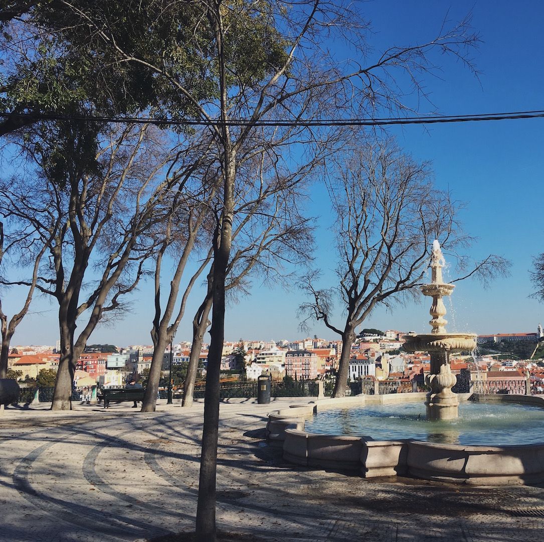 A fountain in a park with a city in the background