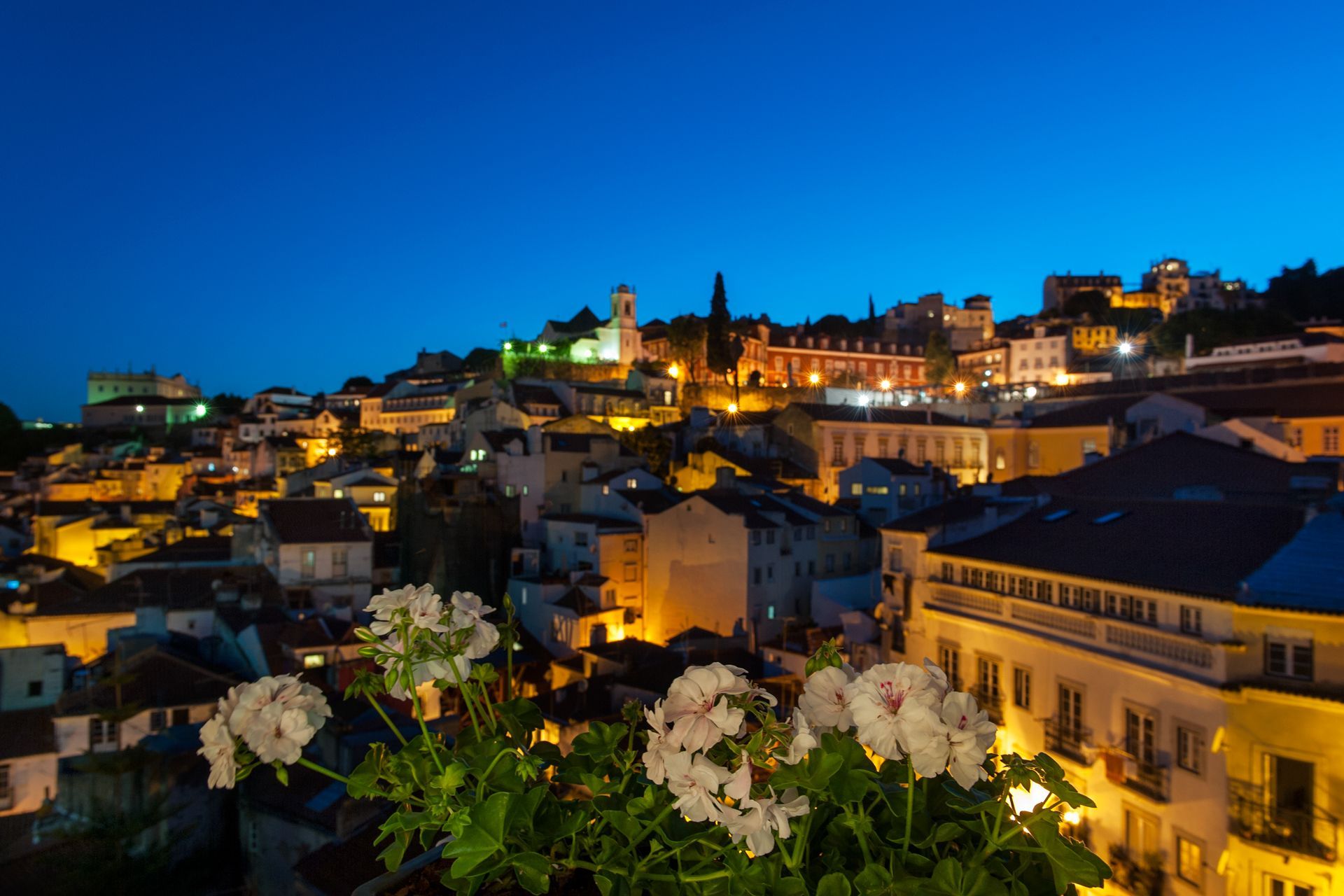 Overlooking the rooftops of Lisbon’s historic Alfama. Discover the view at Cheese & Wine Apartments.