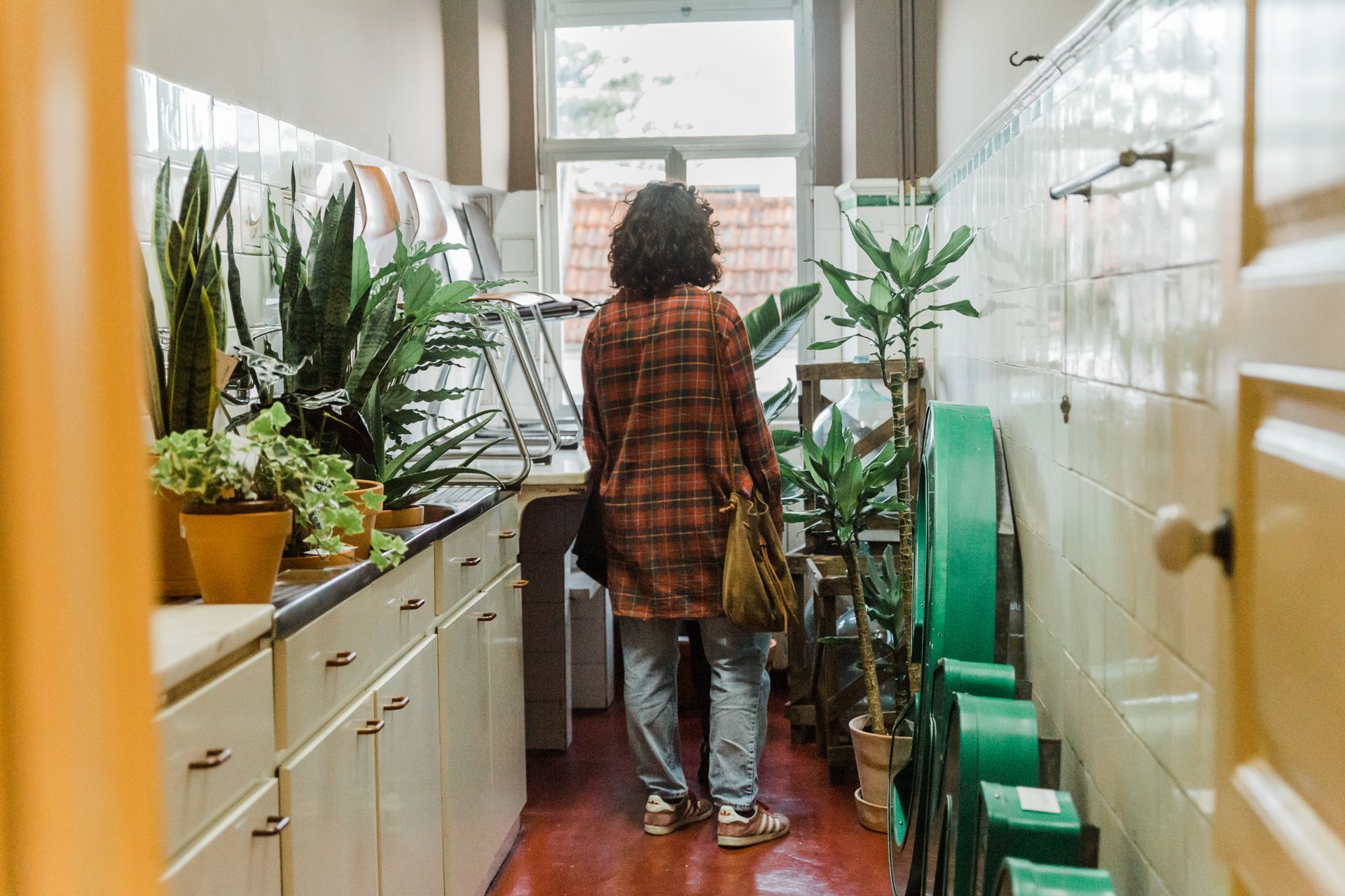 Plants for sale at Cheese & Wine Lapa — bringing nature indoors with style.