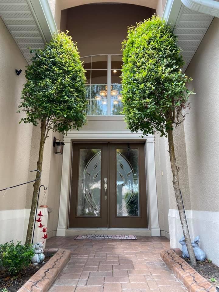 The front door of a house with two trees in front of it