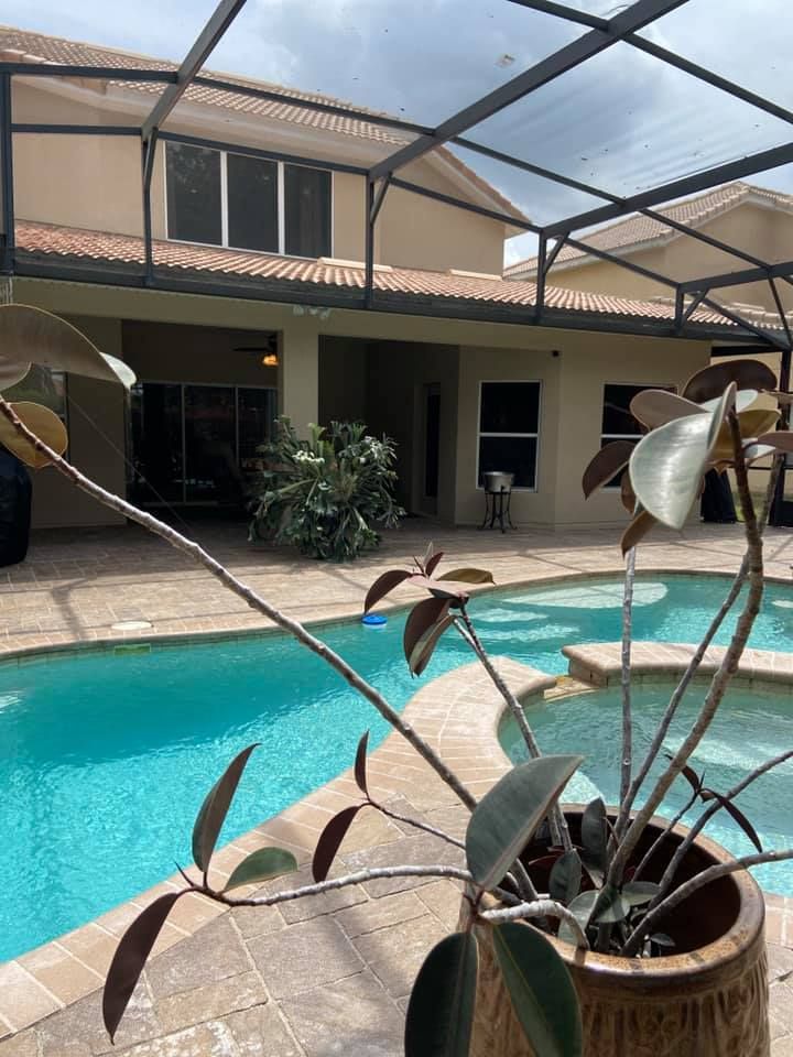 A potted plant is sitting next to a swimming pool in front of a house.