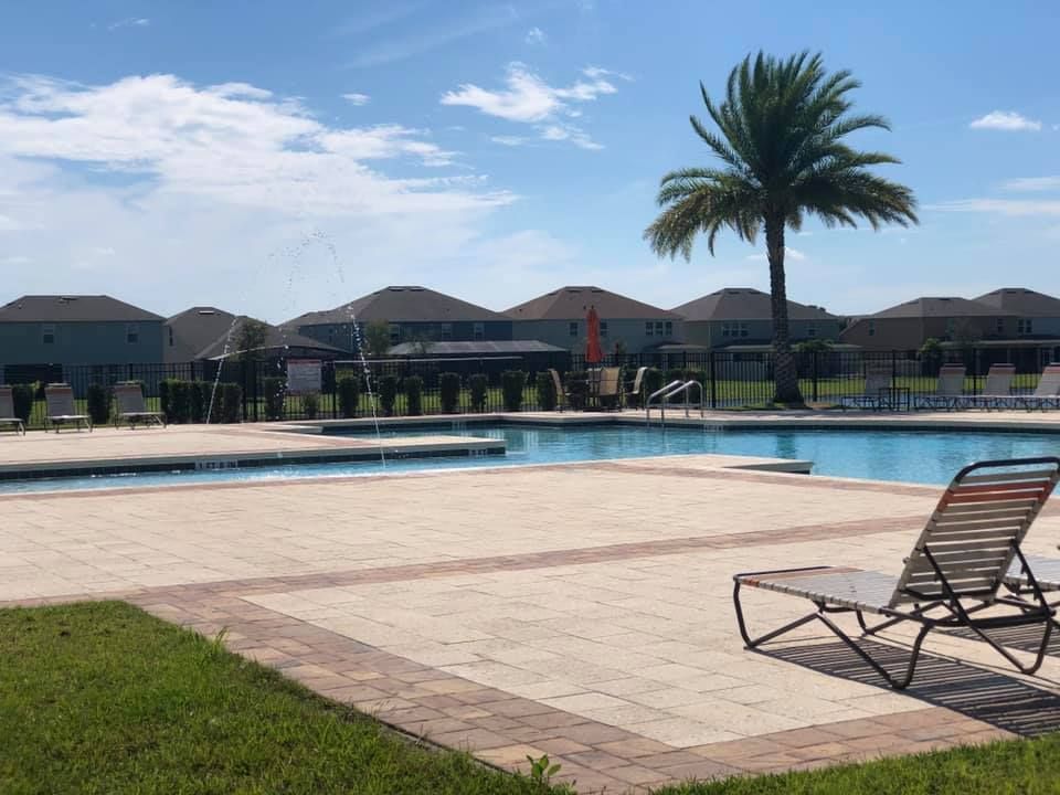 A large swimming pool with a palm tree in the background