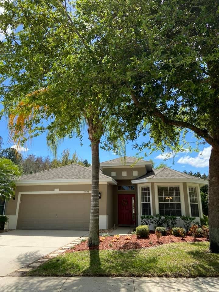 A house with a tree in front of it on a sunny day.