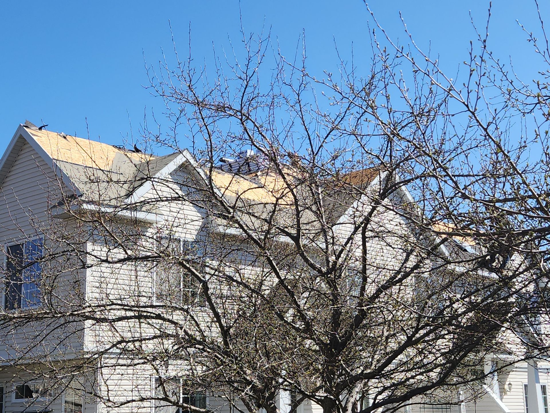 A house with a tree in front of it and a blue sky in the background.