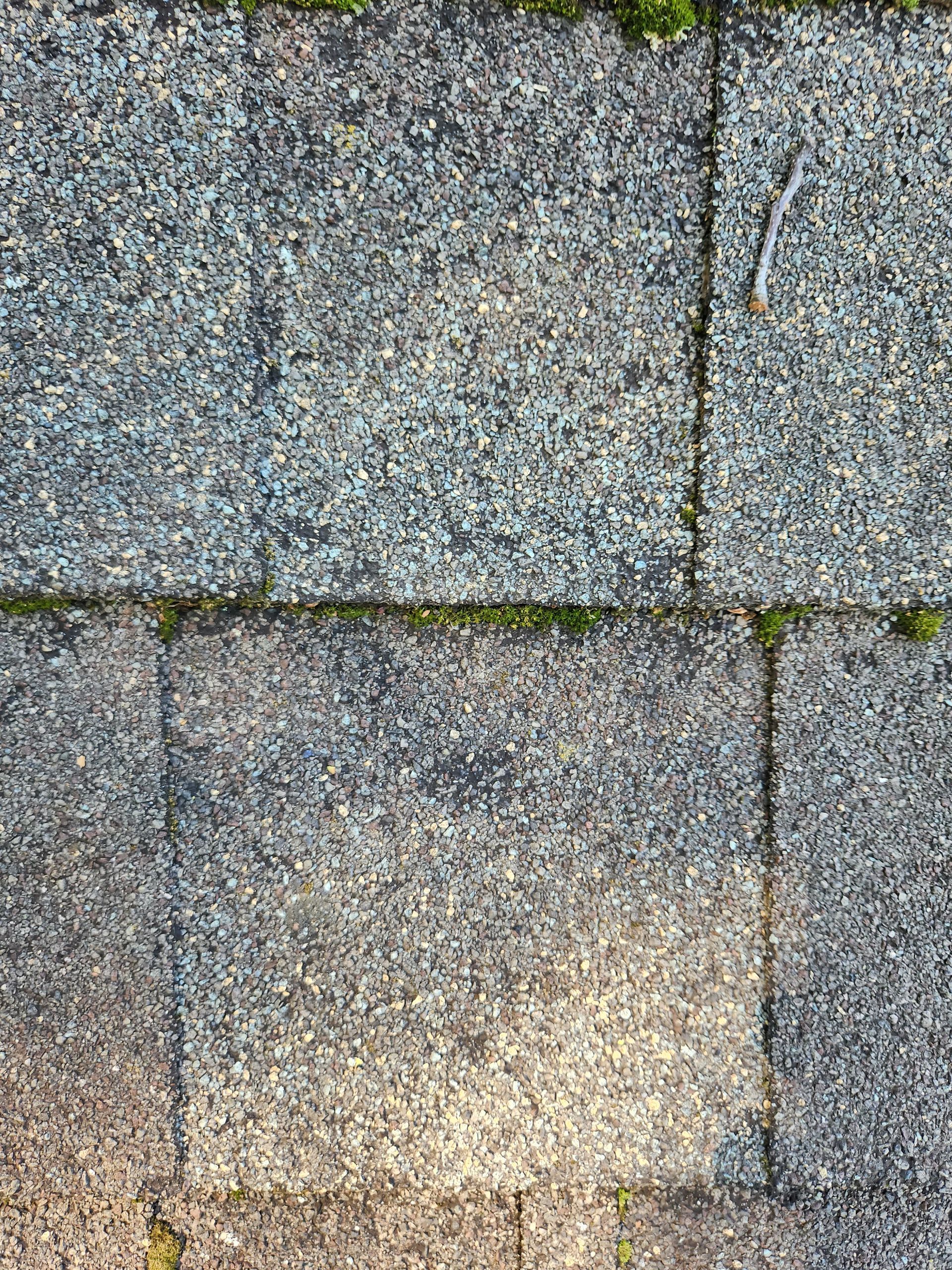 A close up of a brick walkway with moss growing on it.