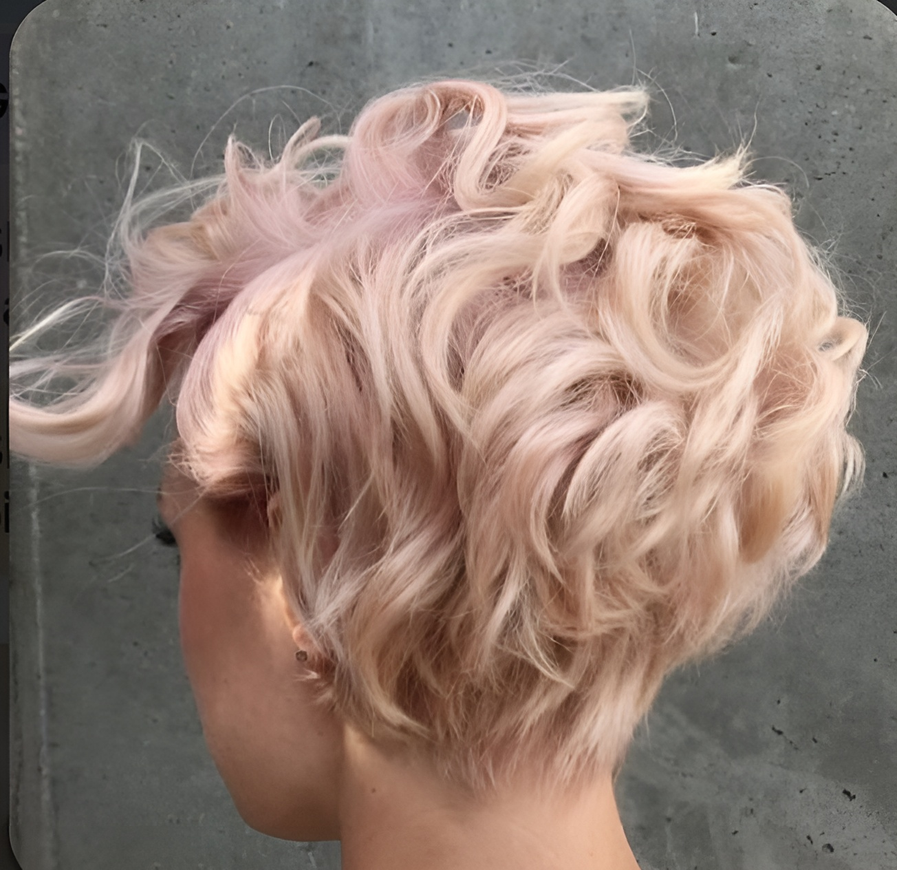 The Back of a Woman With Red and Purple Hair — Dudes n Dolls Hair Lounge In Warners Bay, NSW