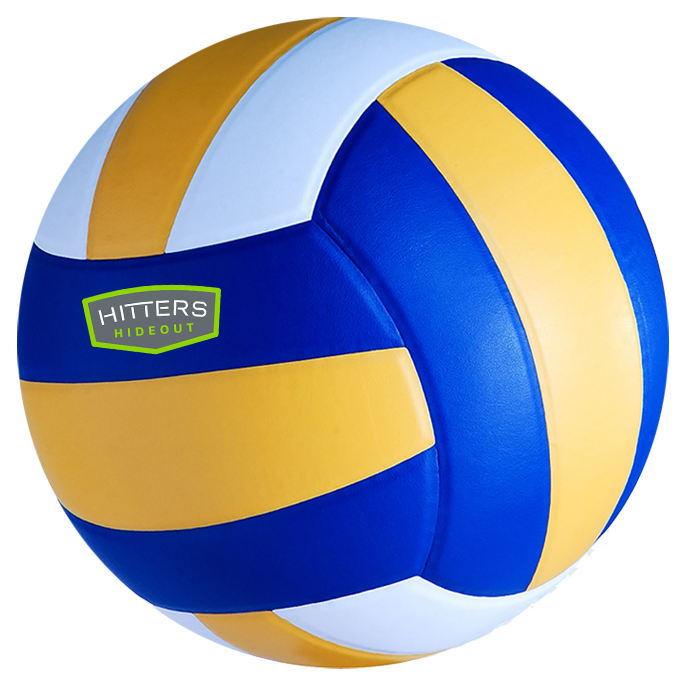 Blue, yellow, and white volleyball with 