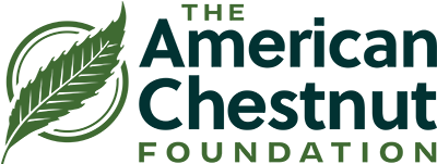 American CHestnut Foundation
