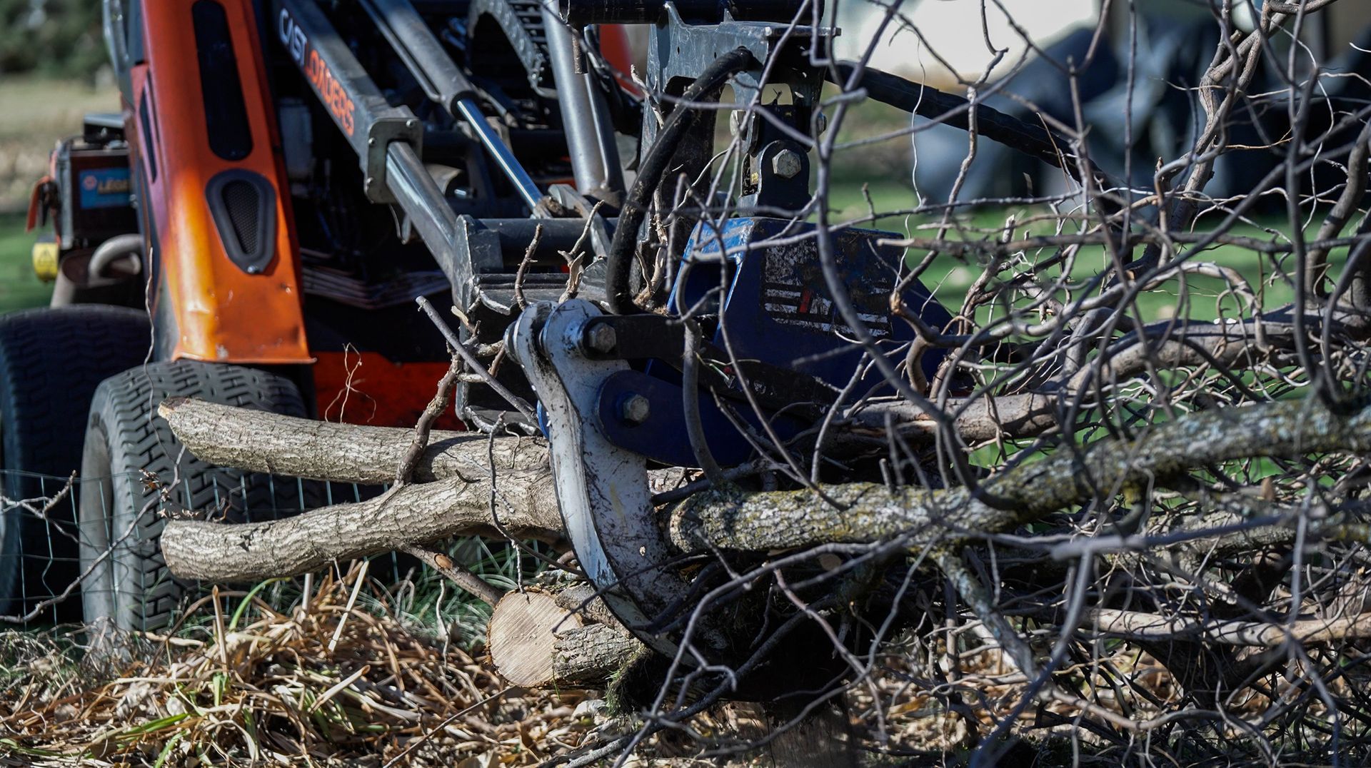 Lot and Land Clearing