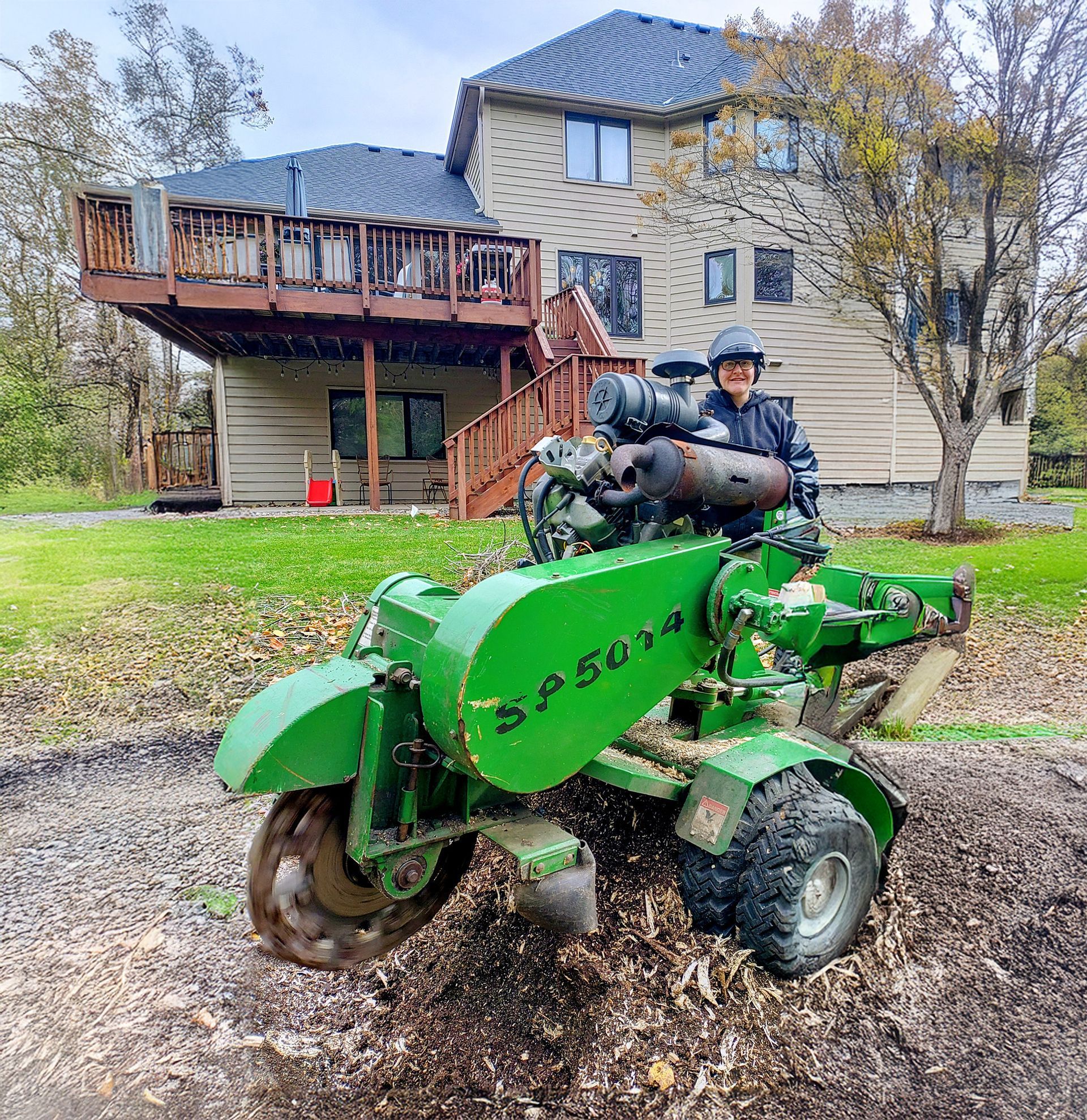 Stump Grinding and Removal