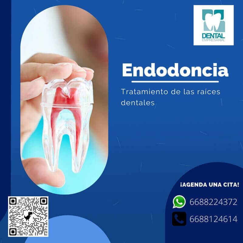 DENTAL EMPRESARIAL  -ENDODONCIA