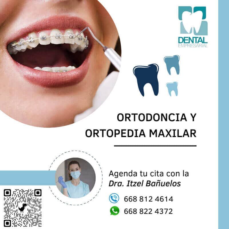 DENTAL EMPRESARIAL  - ORTOPEDIA MAXILAR